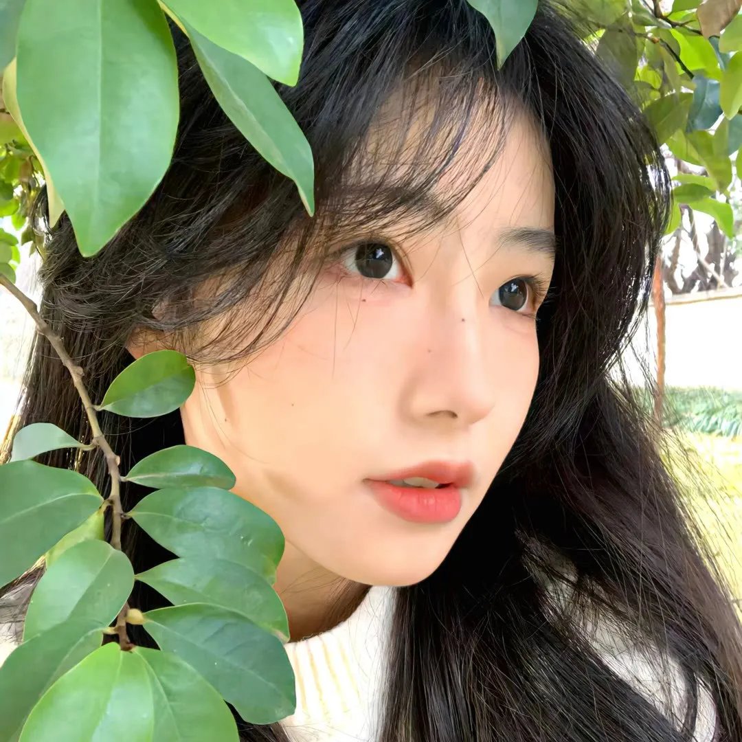 没头脑和不高兴